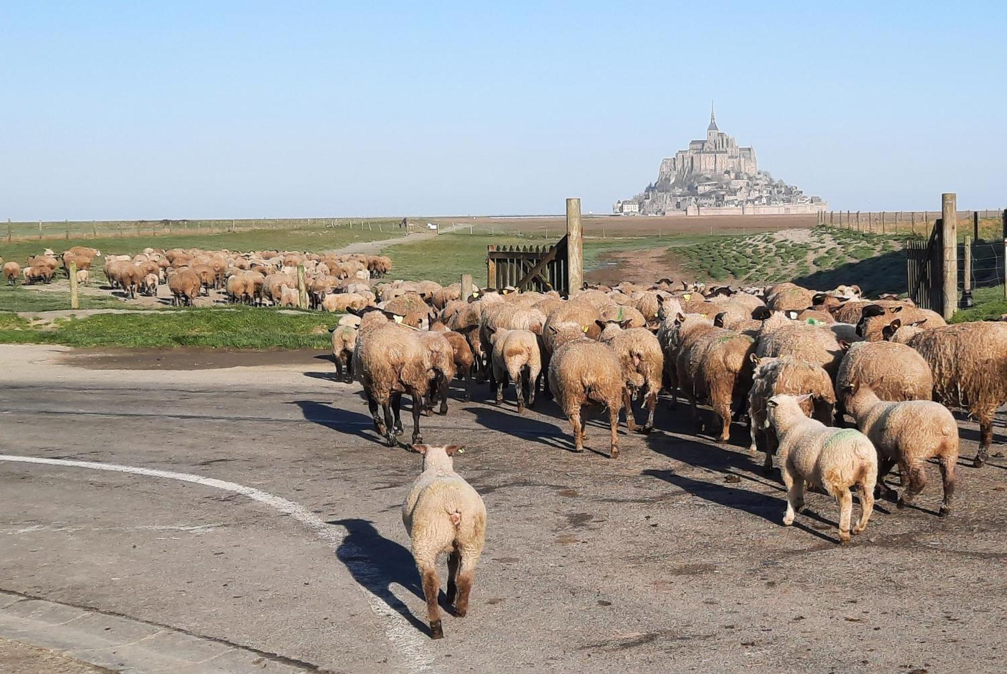 فيلا L'Hirondelle بونتورسون المظهر الخارجي الصورة