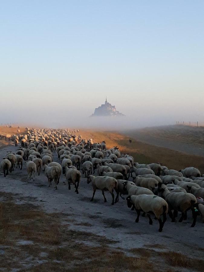 فيلا L'Hirondelle بونتورسون المظهر الخارجي الصورة